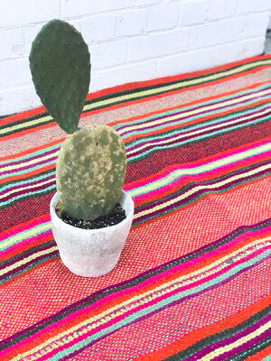 The Cusco Rug